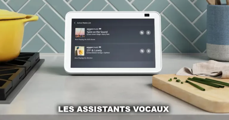 Les assistant vocaux