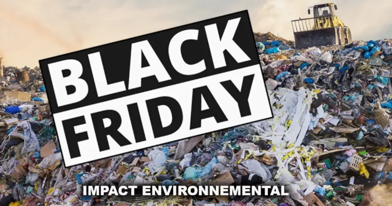 Black Friday Impact Environnemental
