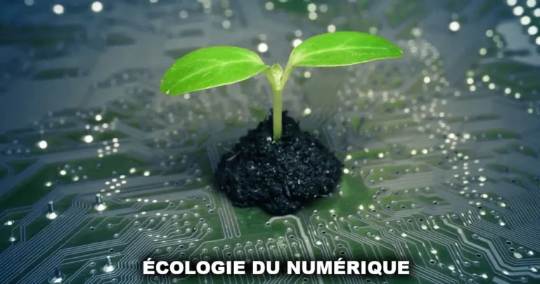 Écologie du numérique